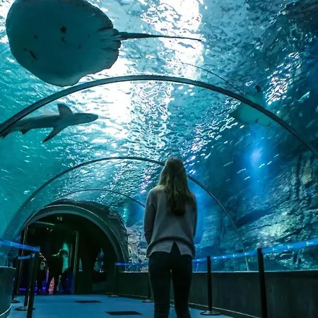 Chez Severine House Holiday home *