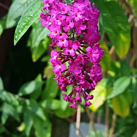 Chez Severine House Holiday home Marquise